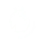 IPTV MAX | Det bästa IPTV Sverige-abonnemanget