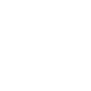 IPTV MAX | Det bästa IPTV Sverige-abonnemanget